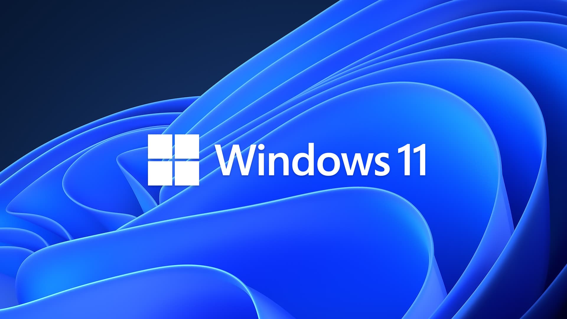 windows 11 logo and branding